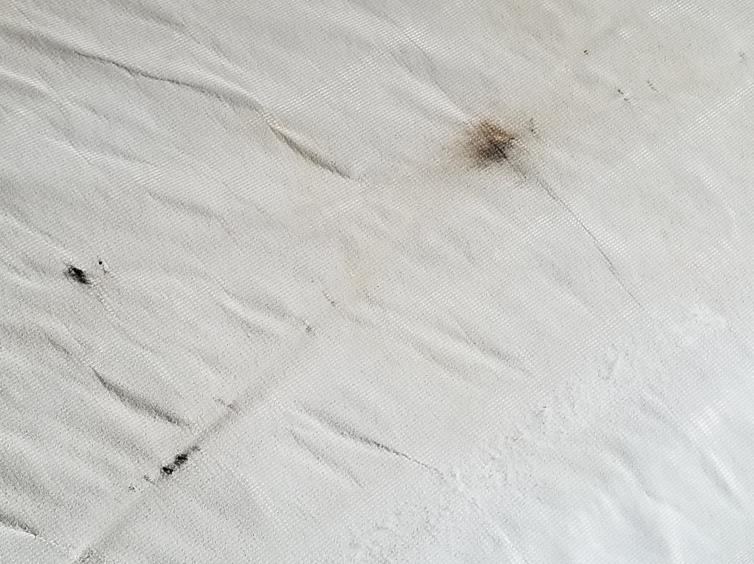 Super 8 by Wyndham Waverly主图