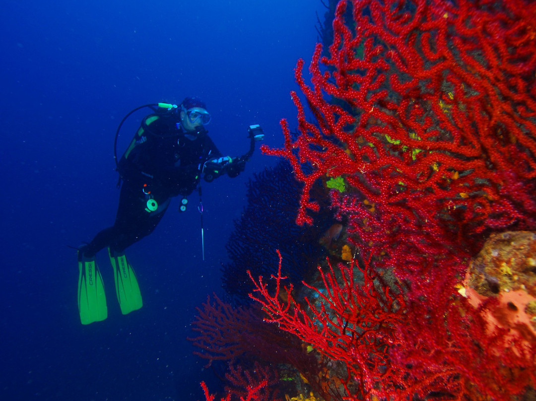 Korfez Diving Center景点图片