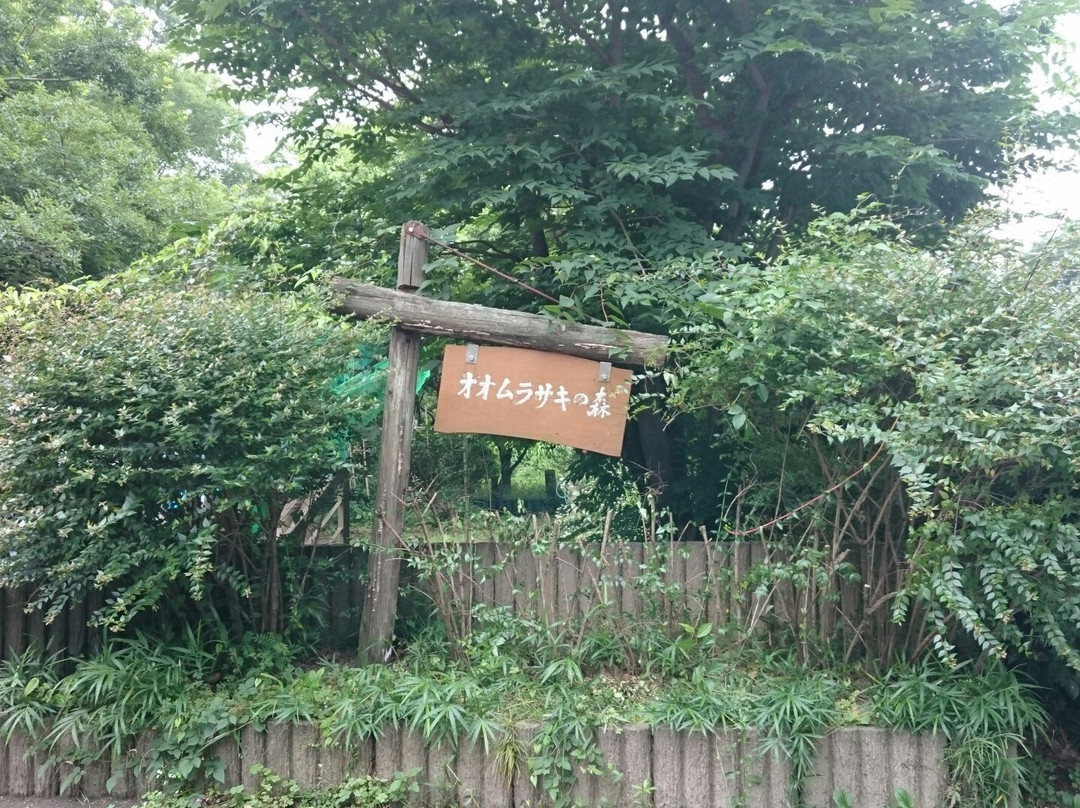 Village of Butterfly Park-岚山町必去景点