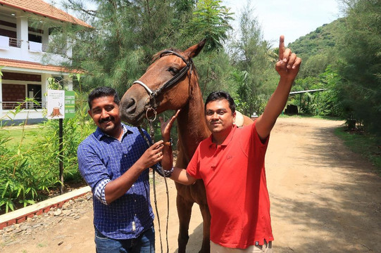 SR Jungle Resort主图