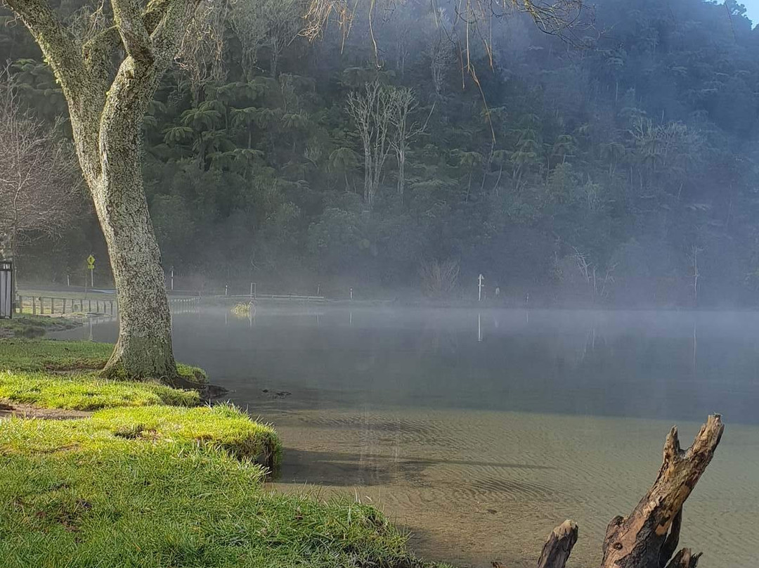 Kiwi Scenic Tours景点图片