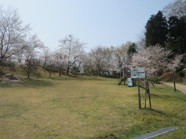 Ouchi Pass Ichijikan Park景点图片