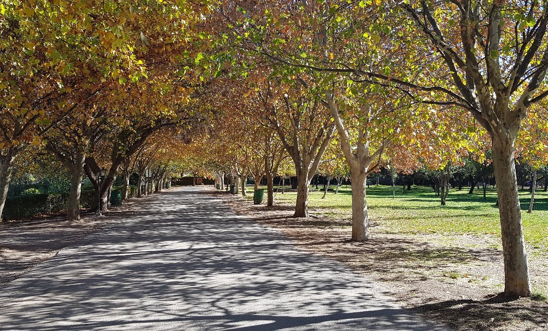 Santuario de Santa Teresa de Los Andes-Rinconada de Silva必去景点