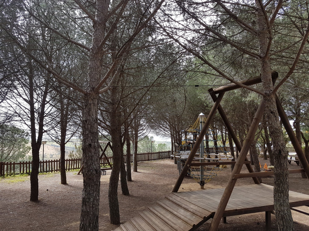 Agriturismo Il Drago主图