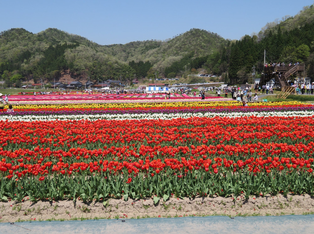 Tanto Flower Park-丰冈市必去景点