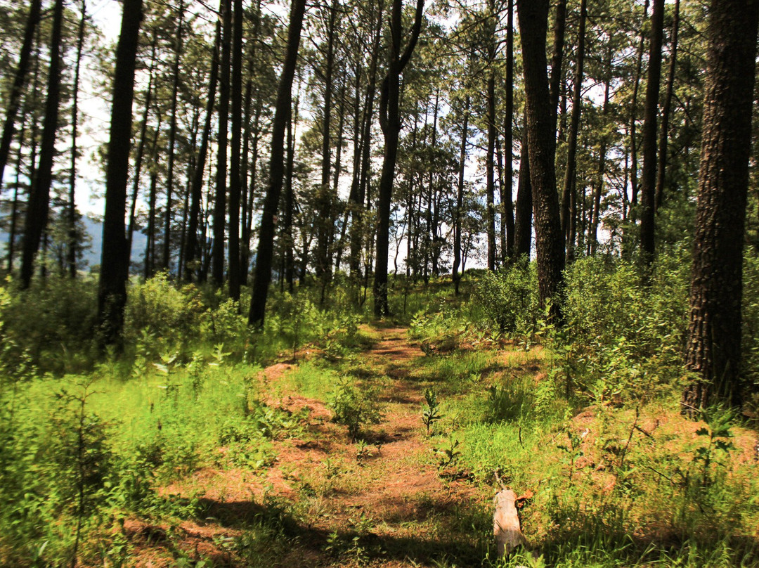 Nanacamilpa旅游攻略图片