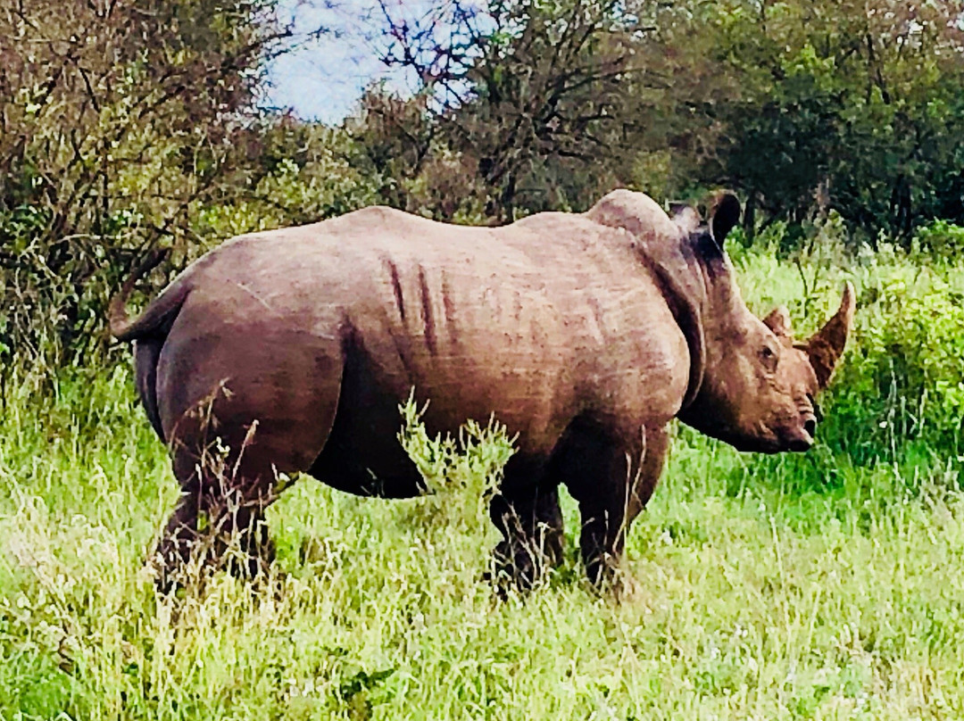 Antonio Safaris-Karen必去景点