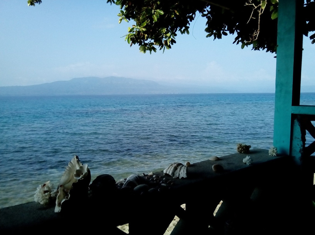 Island Breeze Bed & Breakfast主图