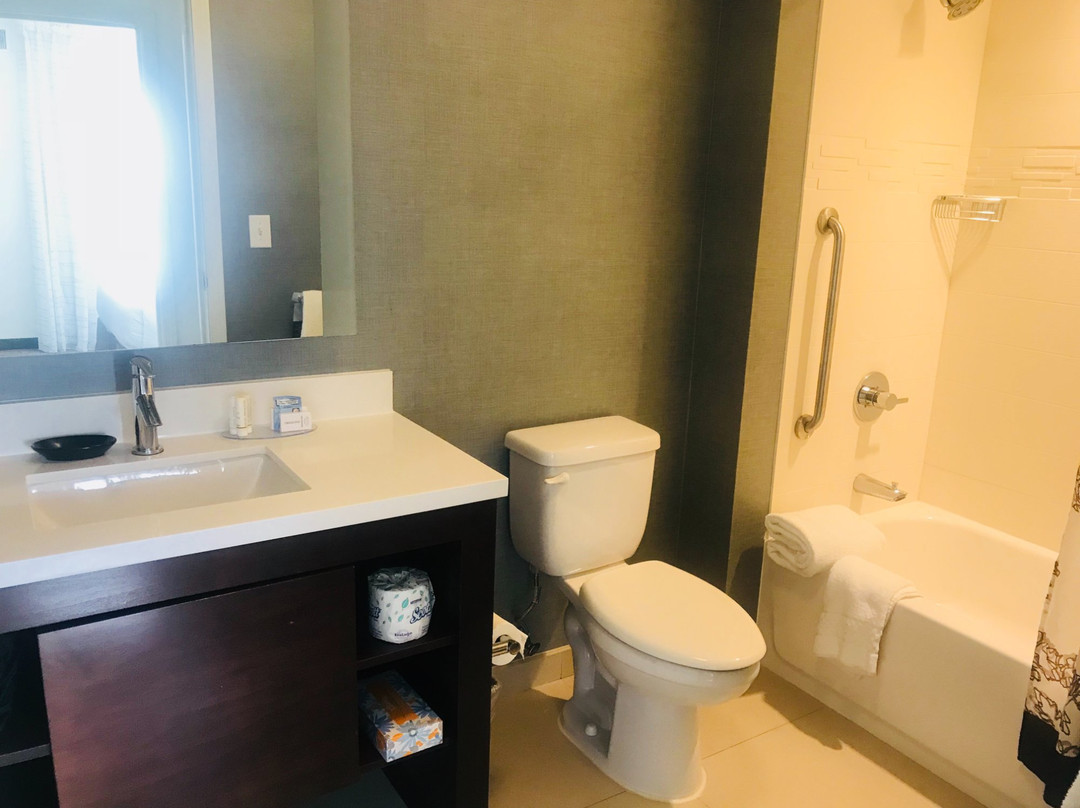 Residence Inn Largo Medical Center Drive主图