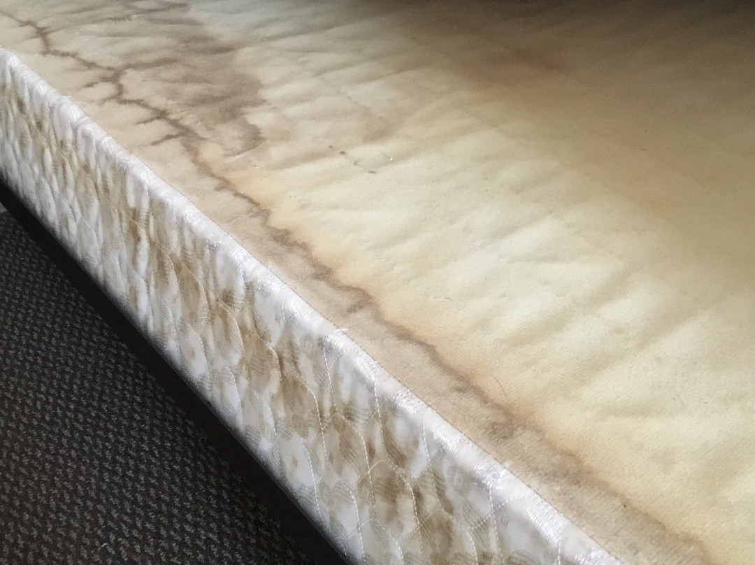 Blue Dolphin Inn and Cottages主图