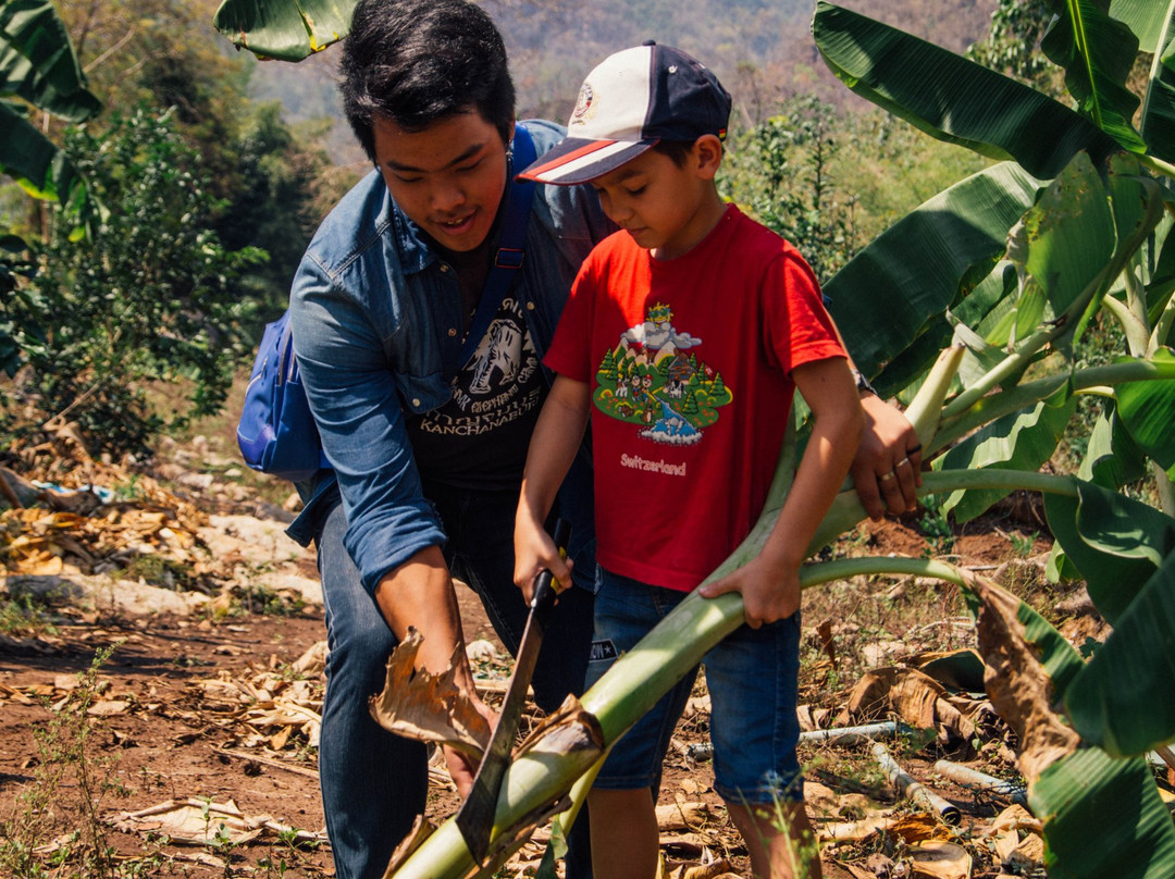 The Banana Orchard Project-北碧必去景点