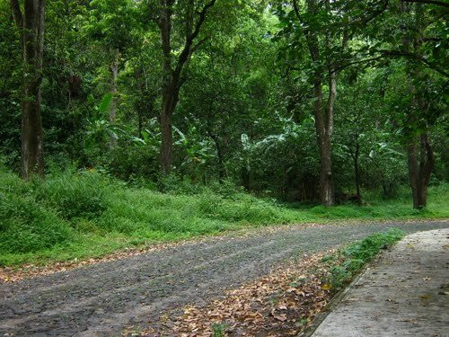 Santuario de Santo Toribio Romo-特基拉必去景点