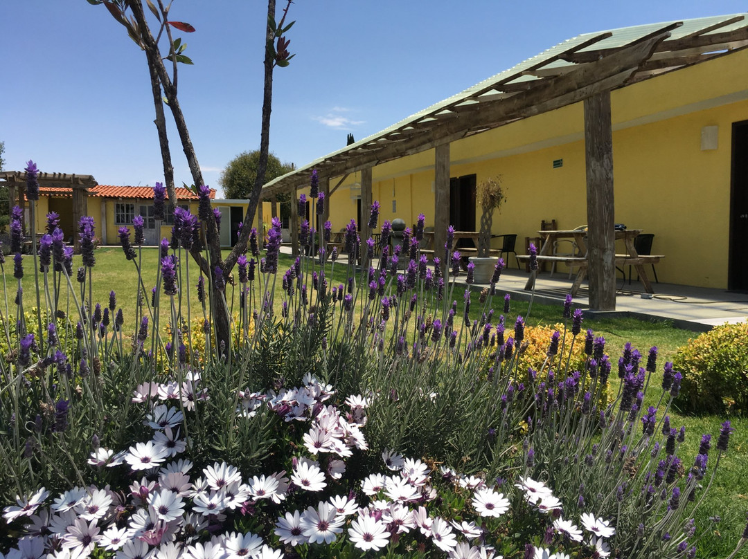 Hotel Quinta San Antonio主图