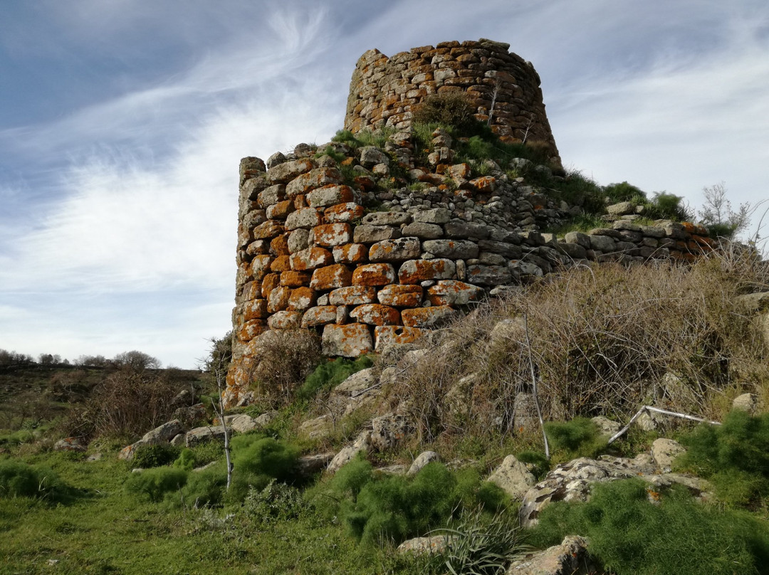 Borore旅游景点-Nuraghe Orolo
