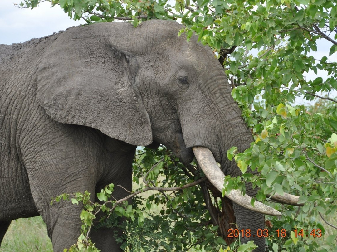 Punda Maria Restcamp主图