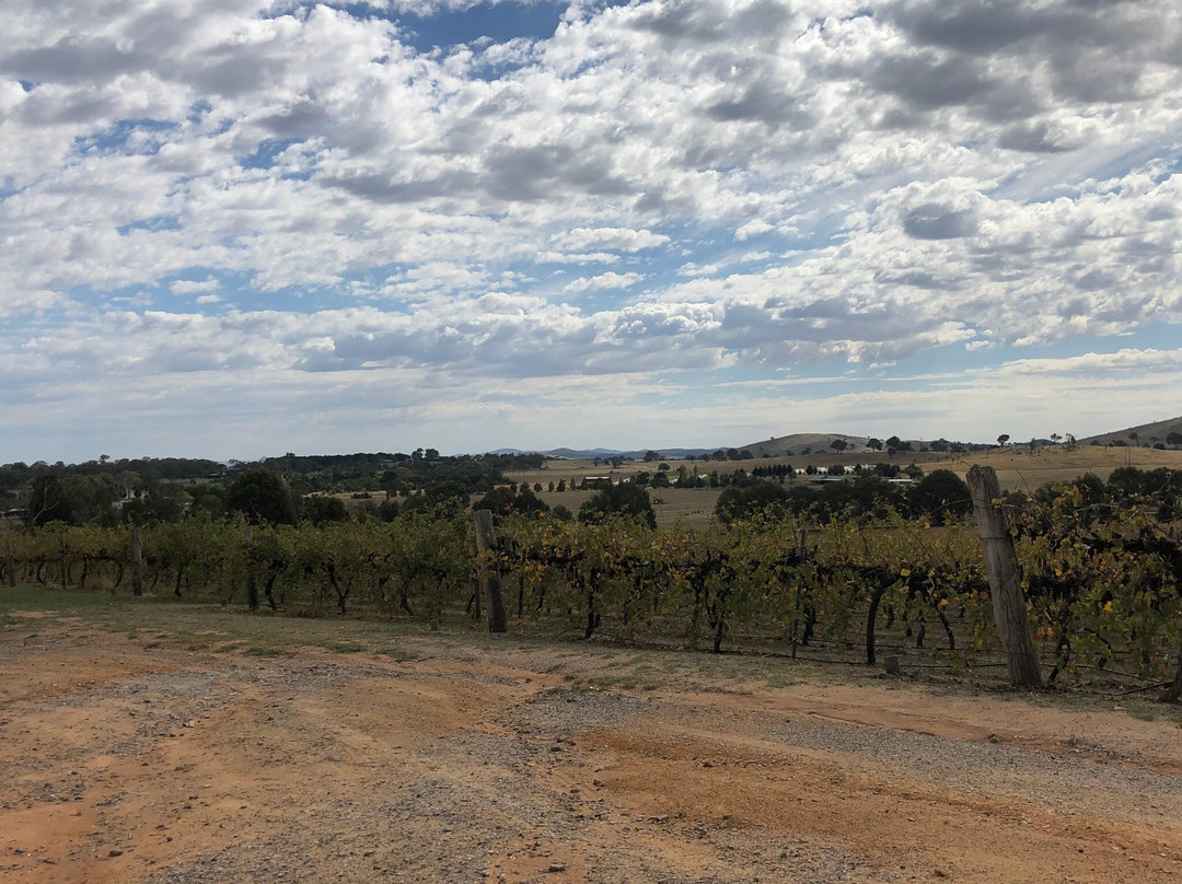 Jeir Creek Wines景点图片