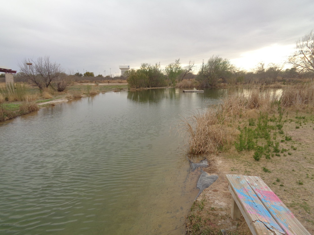 Sibley Nature Center景点图片