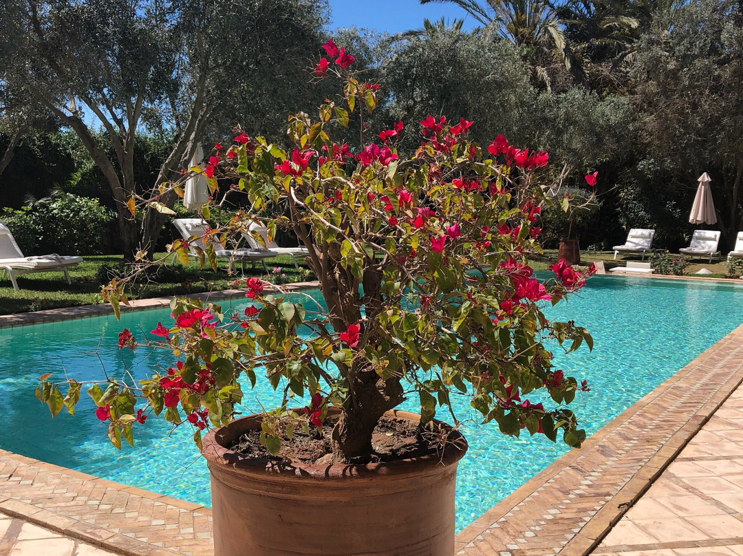 Riad des Golfs主图