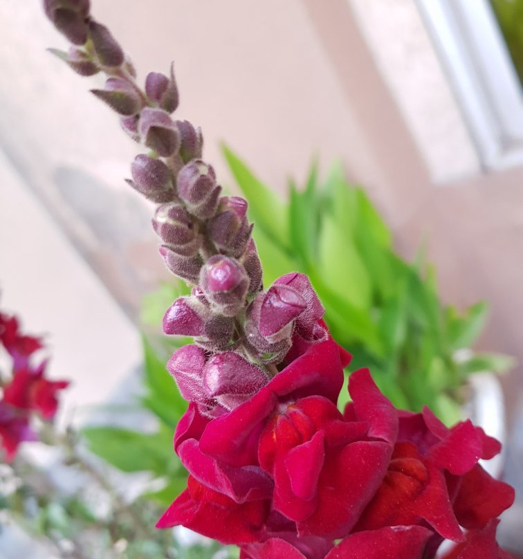 佛塔里斯木尔坦酒店主图