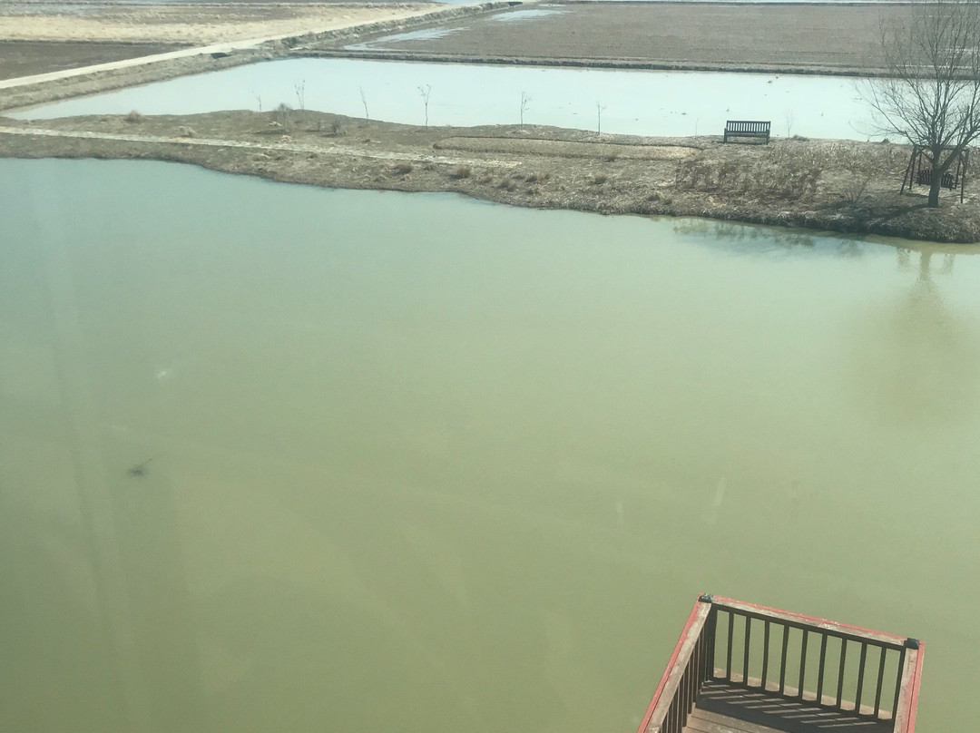 Junam Reservoir-昌原市必去景点