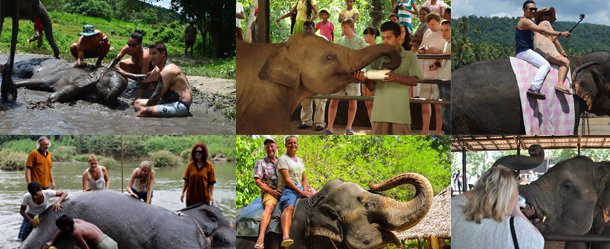 Banana Tours Sri Lanka-卡图纳耶克必去景点