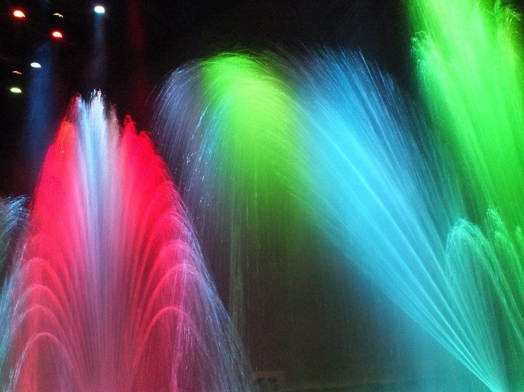 Beanstalk Adventure Ropes Course-Reading必去景点