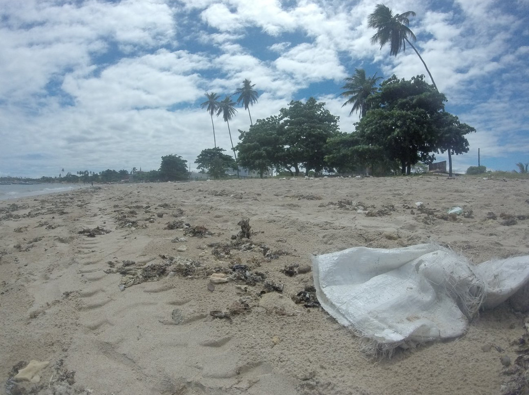Aratuba Beach景点图片