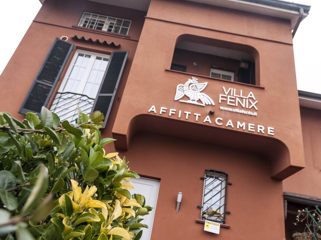 Villa Fenix主图