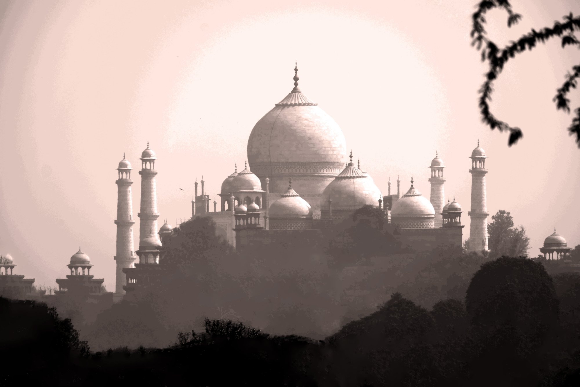 Hotel Saniya Palace-酒店景观