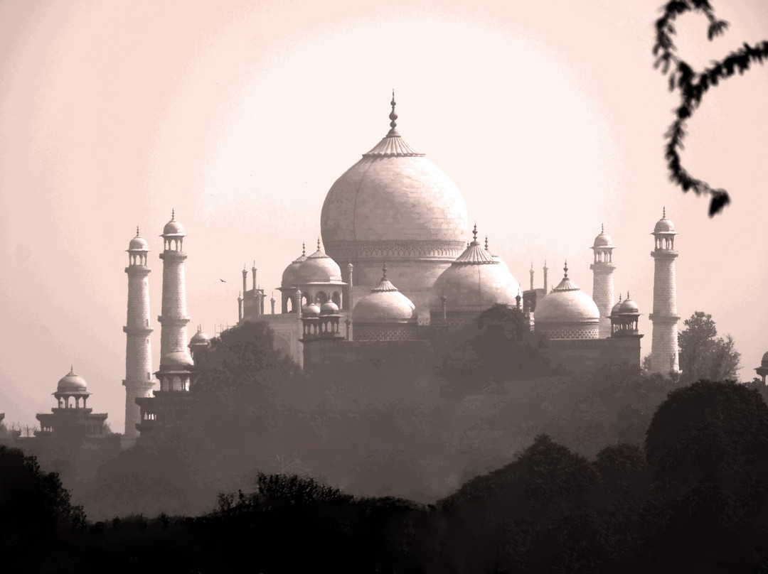 Hotel Saniya Palace主图