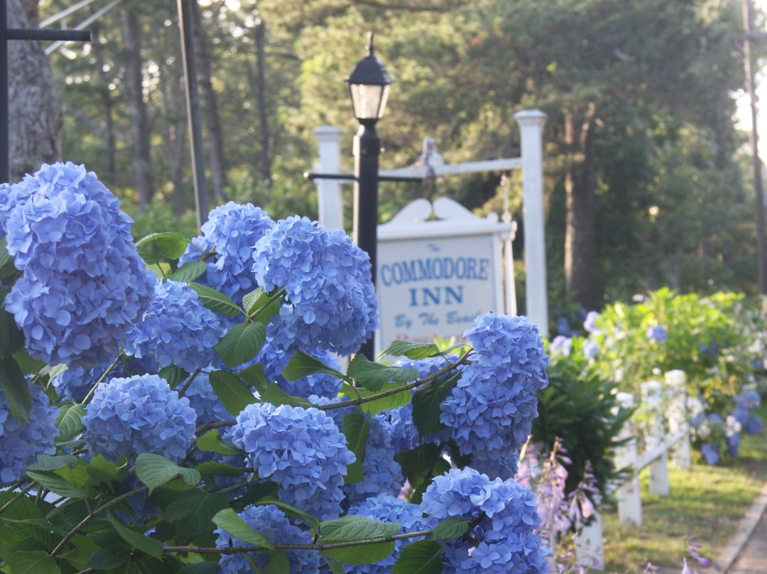 Pelham On Earle主图