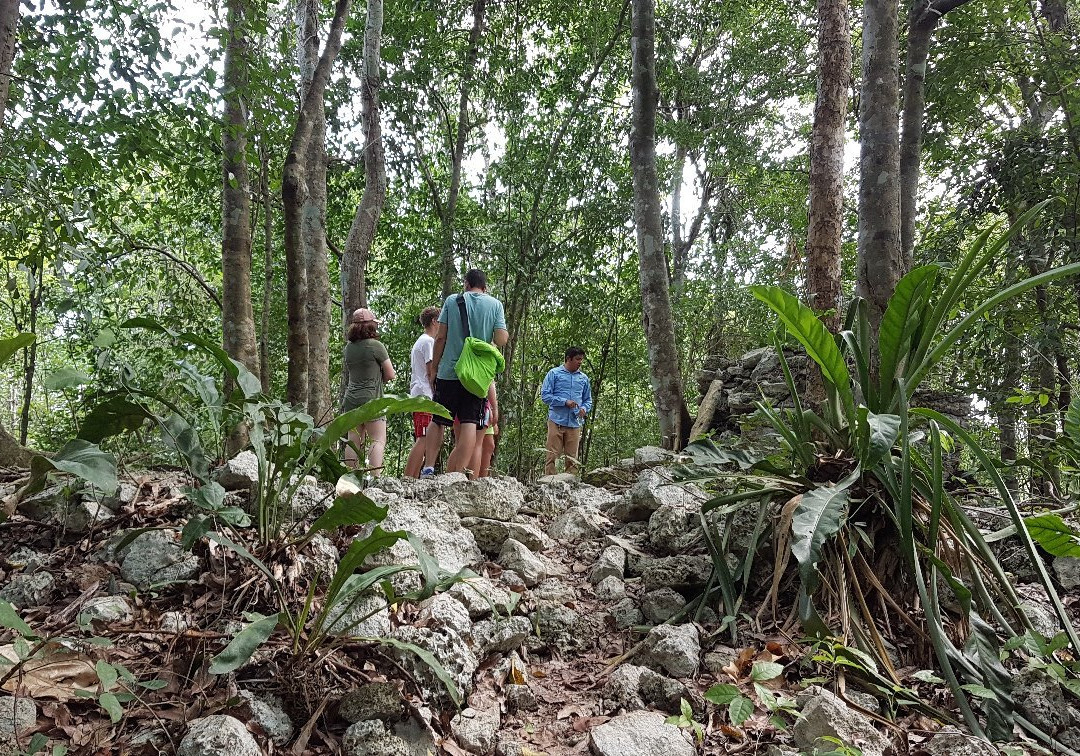 The Spider Monkey Reserve景点图片