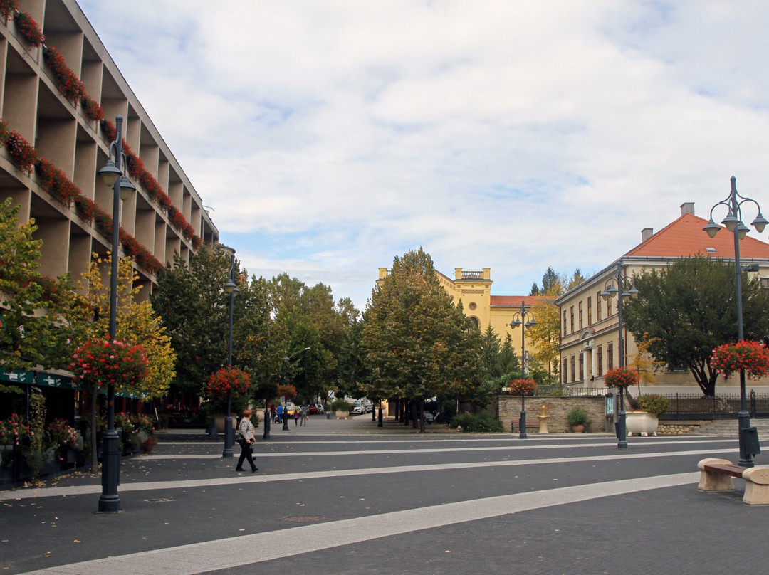 Kaposvar Plaza景点图片