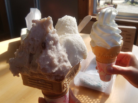 Yasutomi Farm-冈山市必去景点