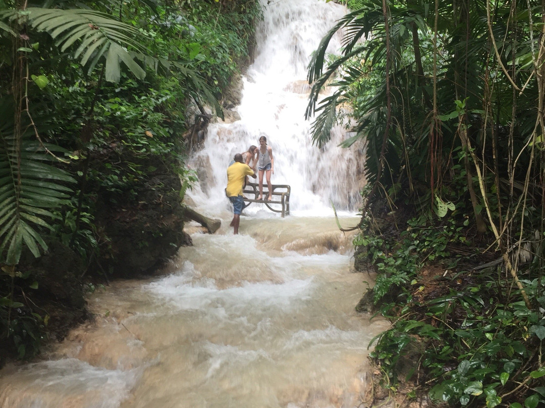 The Enchanted Gardens, Bird Aviary, and Waterfall-奥乔里奥斯必去景点