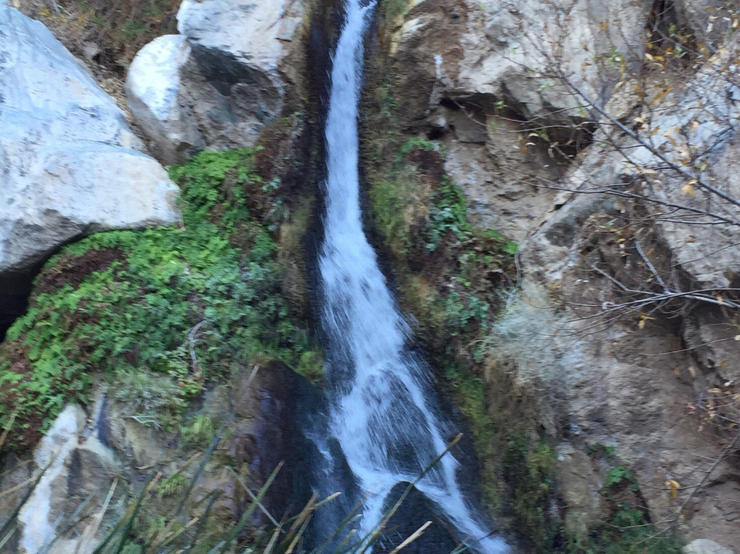 Darwin Falls-死亡谷国家公园必去景点