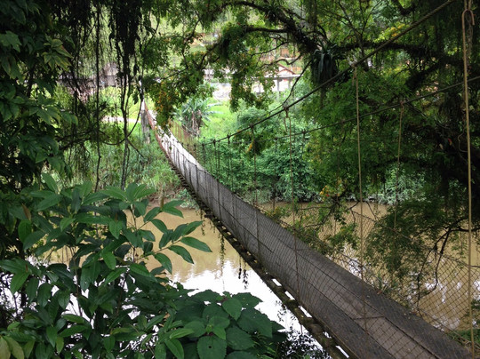 Benedito Novo餐馆和美食-Brot Haus