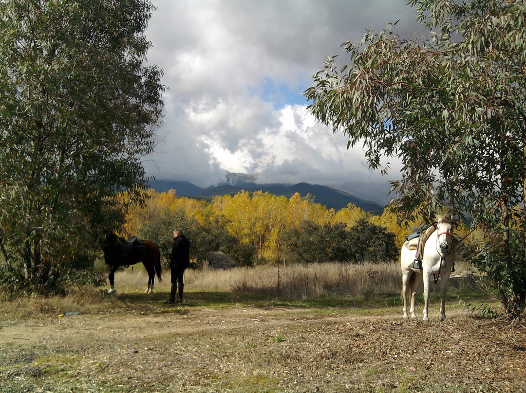 Gredos Ecuestre景点图片