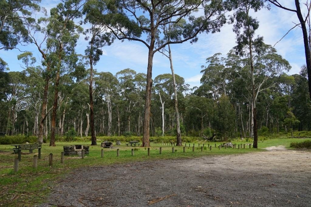 Ferntree Falls-Buangor必去景点