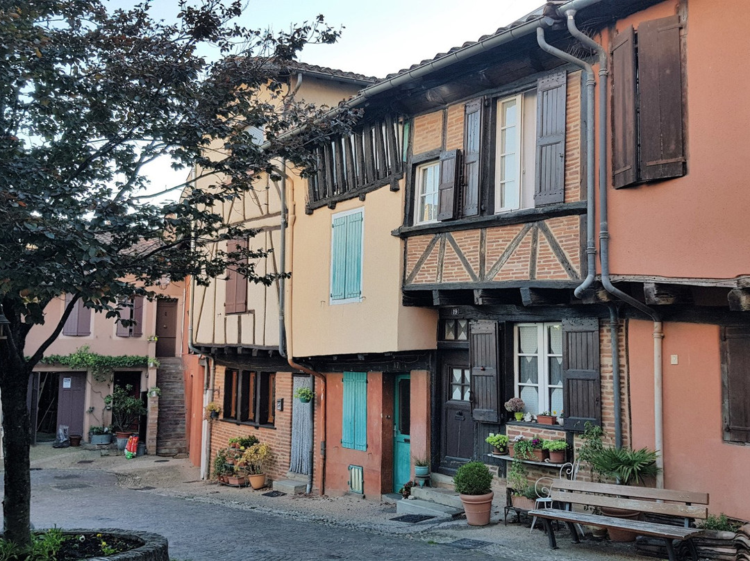 Castelnau-de-Levis旅游攻略图片