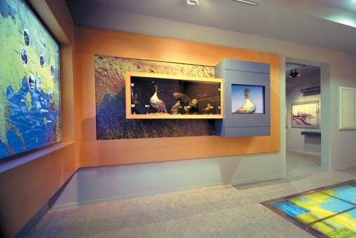Alexandroupolis Natural History Museum-亚历山德鲁波利必去景点