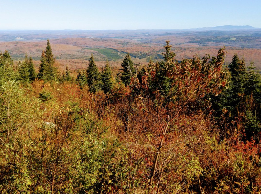 Mont Hereford-East Hereford必去景点