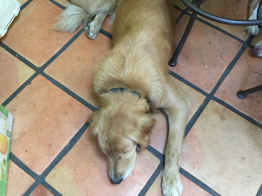 Rombi Carmel Valley Vineyard-卡梅尔瓦利必去景点