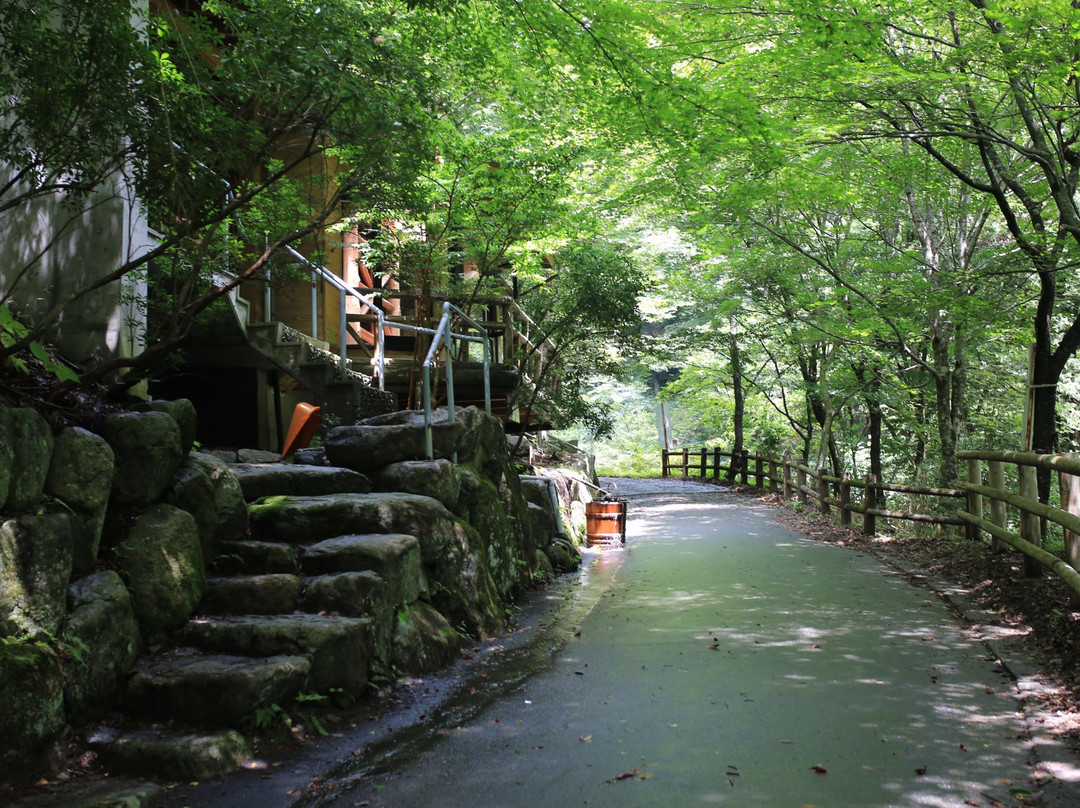 Fudo Falls-高森町必去景点