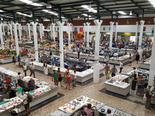 Pexitos - Sesimbra Tours & Experiences-塞新布拉必去景点