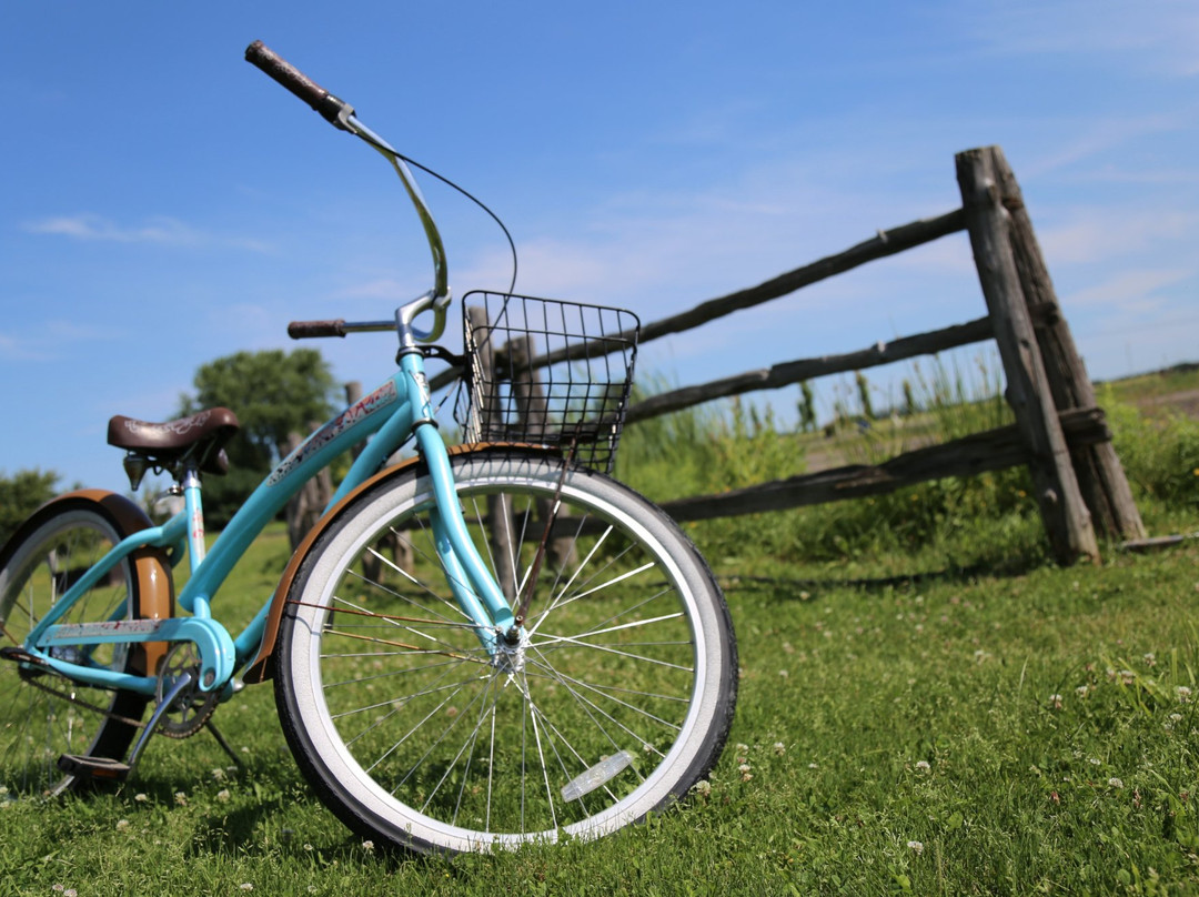 Passion Lavande-Saint-Severe必去景点