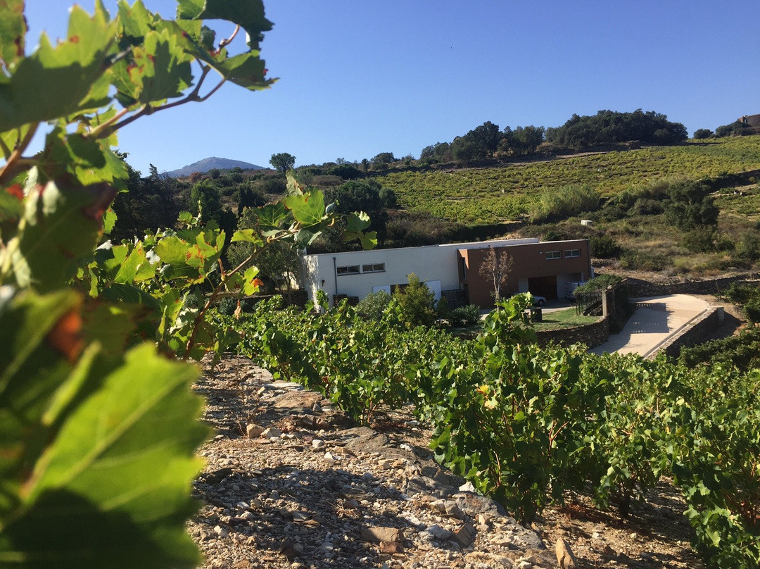 Domaine La Tour Vieille-科利乌尔必去景点
