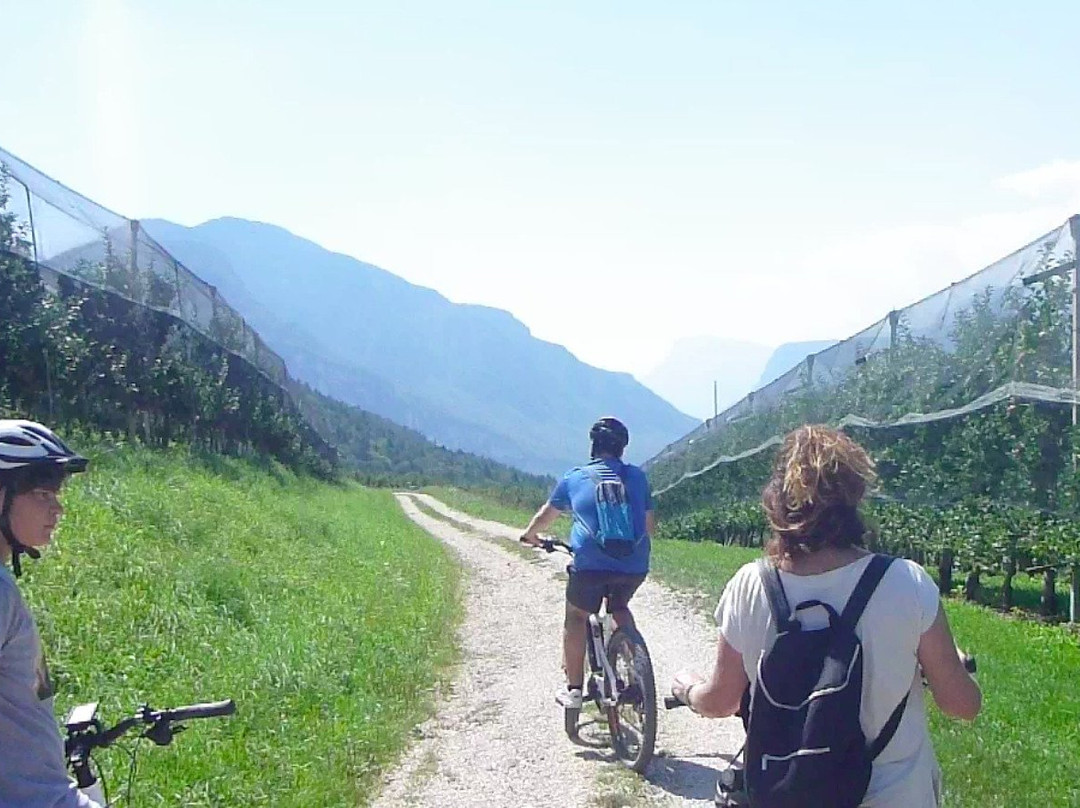 E Bike Dreams景点图片
