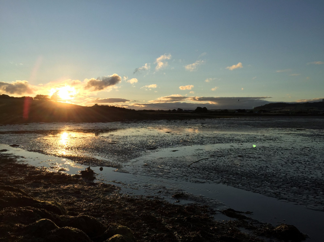 Island Hill & North Strangford Nature Reserve景点图片