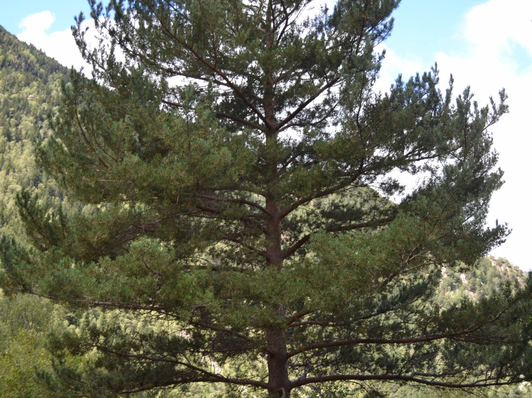 Itinerari d'Entremesaigues-莱斯埃斯卡迪斯必去景点